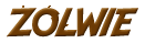 Żółwie