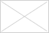 Testudo marginata - żółw obrzeżony Testudo marginata - żółw obrzeżony